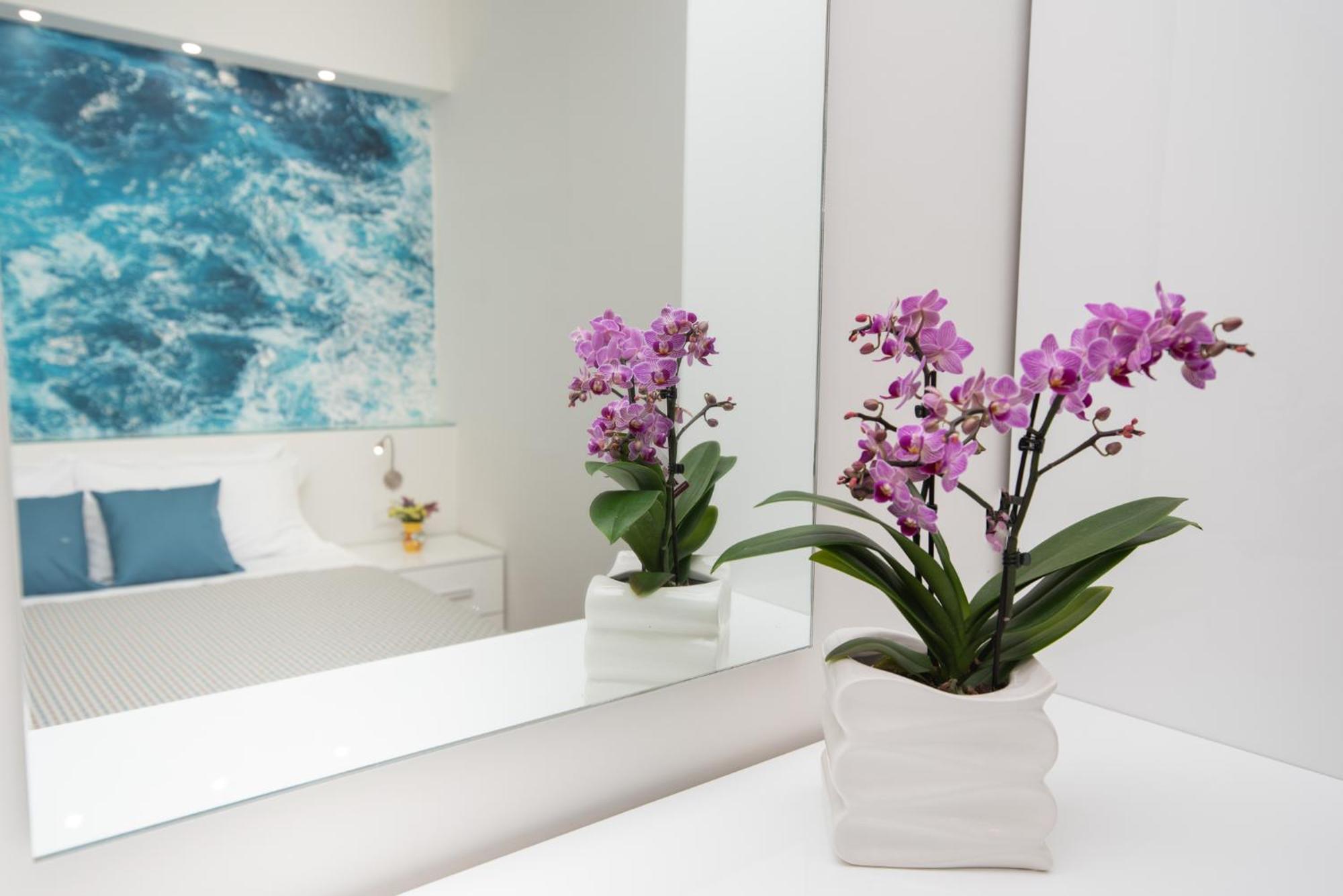 Altamarea Apartment Amalfi Coast Maiori Dış mekan fotoğraf
